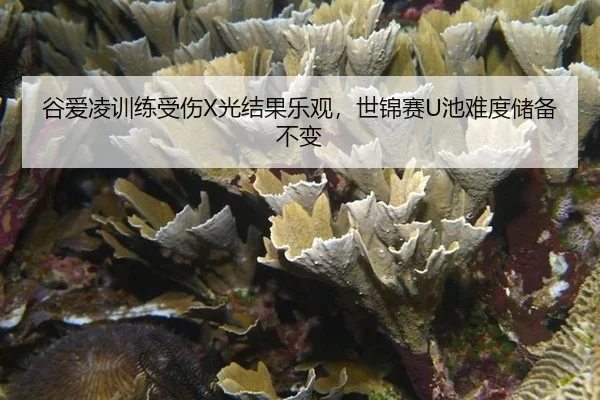 gu-ai-ling-xun-lian-shou-shang-guang-jie-guo-le-guan-shi-jin-sai-chi-nan-du-chu-bei-bu-bian-3-366.jpg