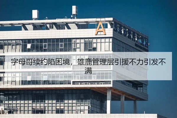 字母哥续约陷困境，雄鹿管理层引援不力引发不满