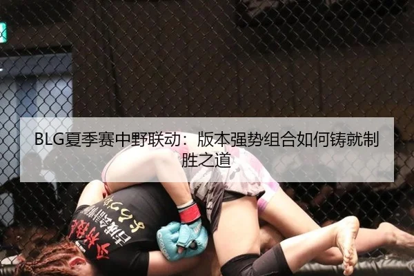 BLG夏季赛中野联动：版本强势组合如何铸就制胜之道