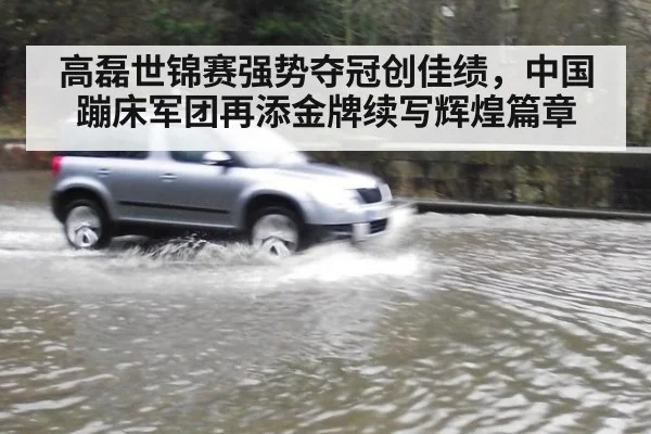 高磊世锦赛强势夺冠创佳绩，中国蹦床军团再添金牌续写辉煌篇章