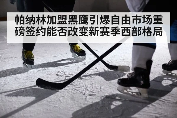 帕纳林加盟黑鹰引爆自由市场重磅签约能否改变新赛季西部格局
